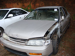 DSC07356