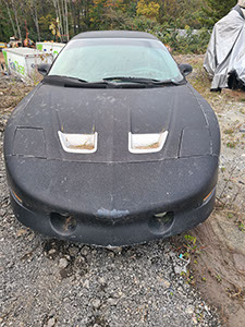 #22 Pontiac Firebird